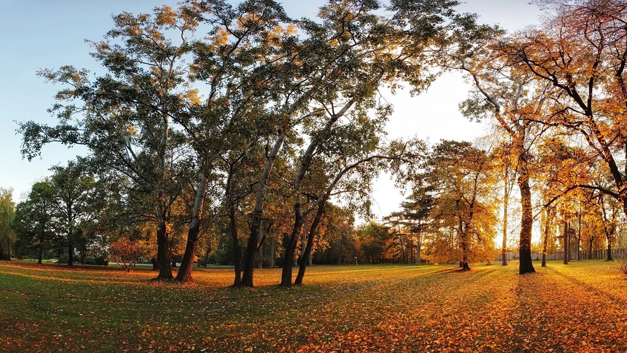 Картинка времена года осень. Русский парк широкие картинки листва. Autumn Trees Ch.