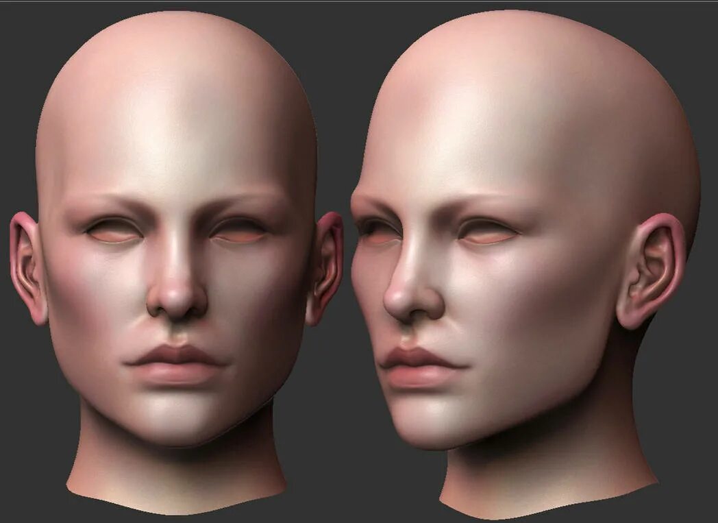 Референс Zbrush face. Голова человека. GOLOWA cheloweka. Модель головы. Detailed reference