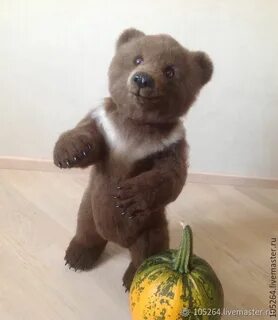 Медведь бери