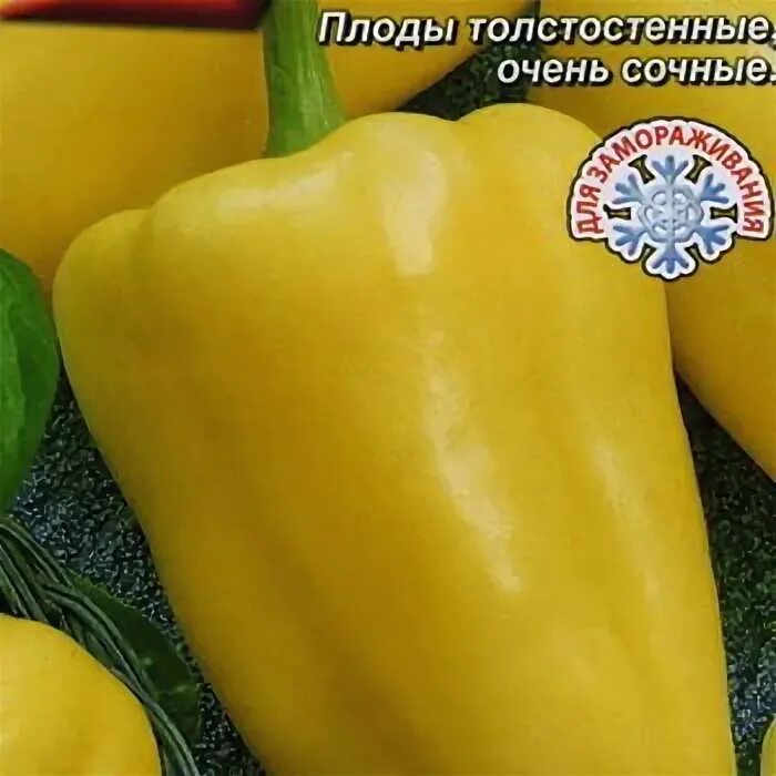 Томат самородок семена алтая. Перец золотой слиток семена алтая. Перец золотой слиток описание. Перец золотой лев. Перец золотой слиток семена алтая.