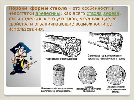 Раскрывает пороки