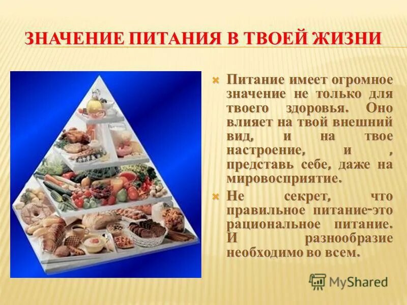 Какое питание имеет колорадо. Роль правильного питания. Роль пищи в жизни человека. Важность правильного питания. Важность пищи для человека.