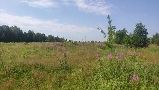 Деревня шихово кировская область. Погода в шихово. Погода в шихово. Деревня шихово. Школа в шихово кировская область.