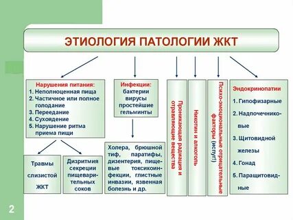 Патология схема