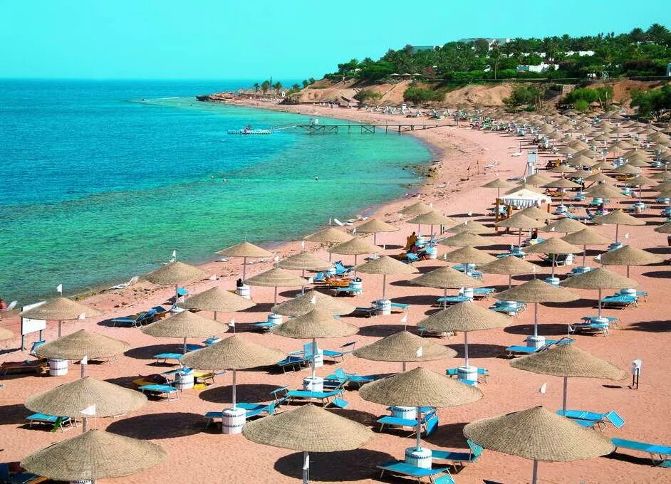 Шарм-эш-шейх отель domina coral bay. Египет domina coral bay oasis. Домина корал бэй шарм-эль-шейх. Domina coral bay oasis 5 египет шарм-эль-шейх. Domina coral bay elisir hotel.