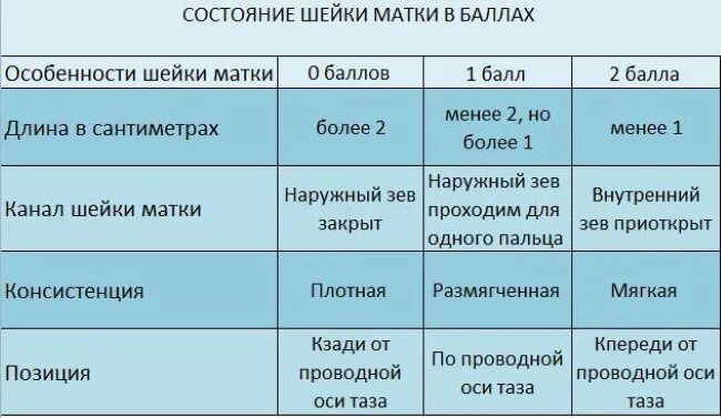 Диаметр цервикального канала в норме. Цервикальный канал норма. Длина цервикального канала норма. Шейка матки при беременности.