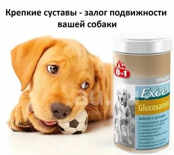 Глюкозамин для собак 8 в 1
