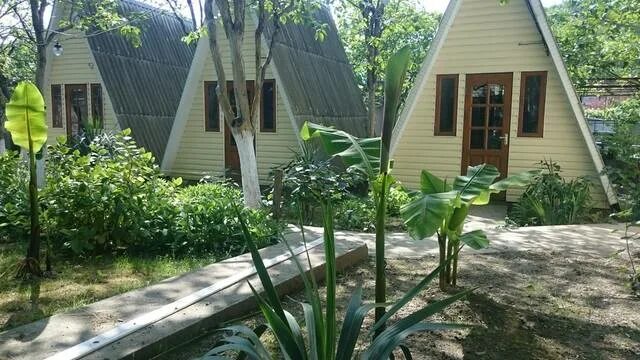 Краснодарский край сочи микрорайон макопсе дружба. Макопсе дружба. нижнее макопсе. макопсе улицы. макопсе дома.