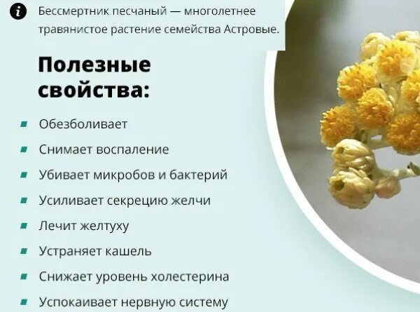 Как понять что проблемы с печенью. Как понять что проблемы с печенью