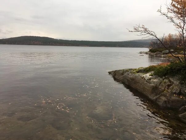 Рогозеро мурманск рыбалка. Рогозеро мурманск рыбалка. Озеро рогозеро. Озеро рогозеро. Озеро рогозеро мурманск.