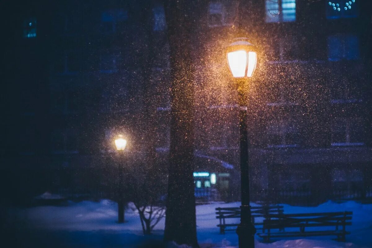 Снегопад ночью в городе. Зимняя улица. Снег фонарь ночь. Ночной снегопад в городе. В свете фонарей текст