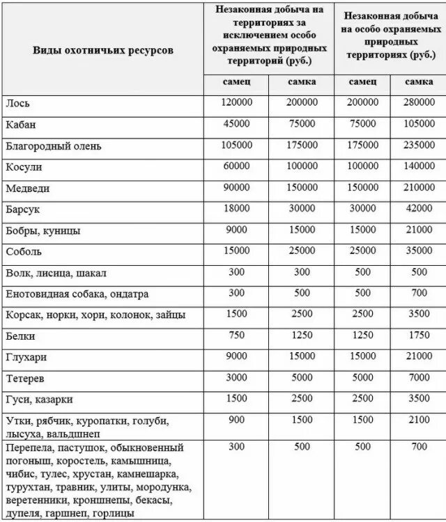 Штраф за косулю без лицензии 2021. Штрафы за незаконную охоту. Штрафы за незаконную охоту 2021. Штрафы за охоту на животных. Сколько штраф за сбитого