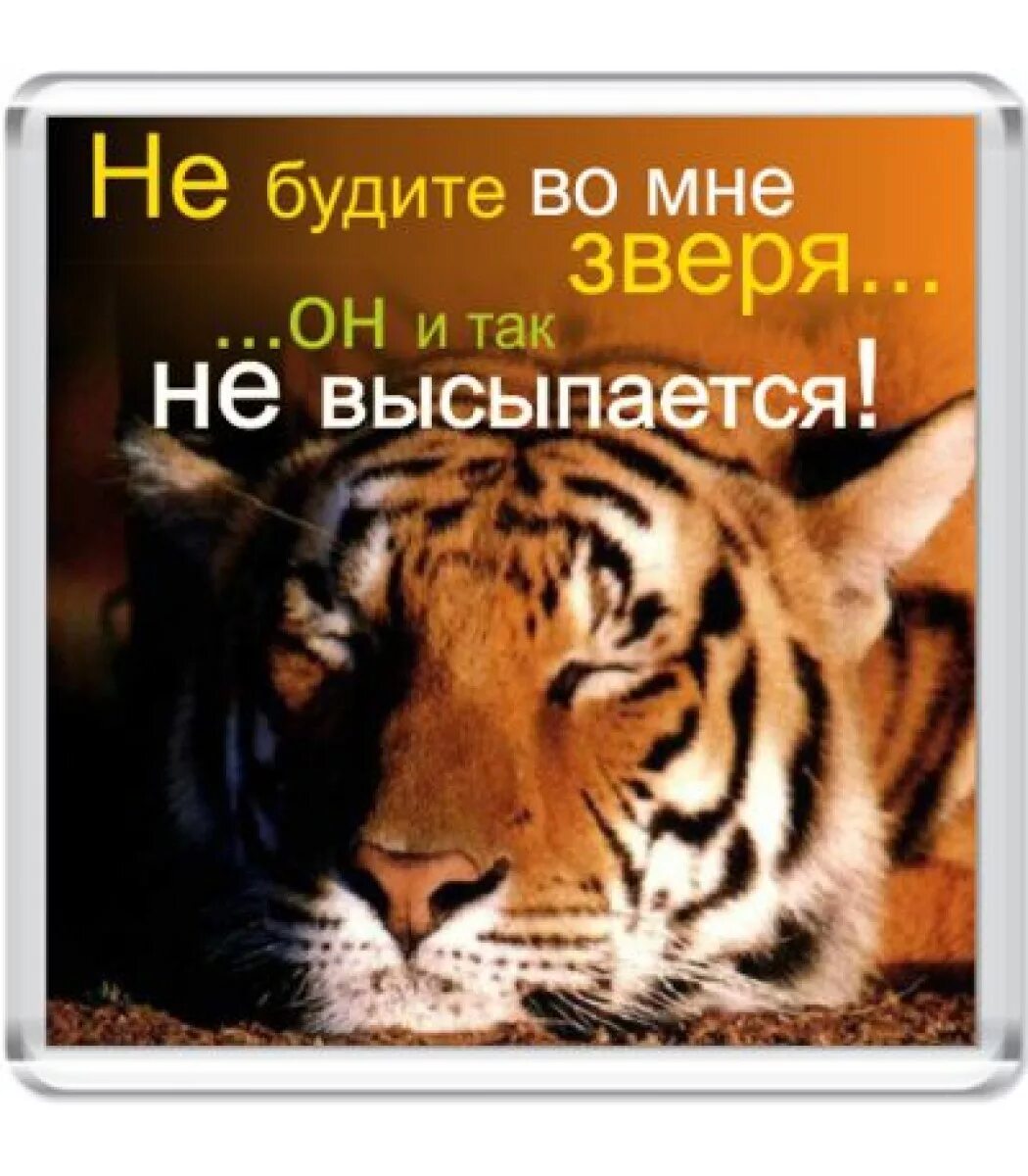 Не будите спящего зверя. Не буди во мне зверя. Разбудили медведя. Разбудил во мне зверя он не высыпается. Картинка не будить.