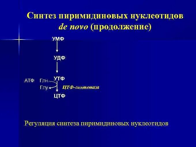 Синтезы нуклеотидов пиримидины. Синтез пиримидинов биохимия. Образование пиримидиновых нуклеотидов. Образование пиримидиновых нуклеотидов. Образование пиримидиновых нуклеотидов.