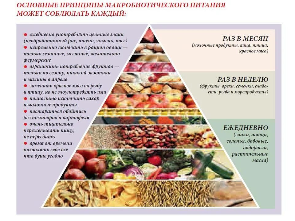 Макробиотическое питание. Макробиотическая диета. Макробиотика пирамида. Макробиотика рацион.