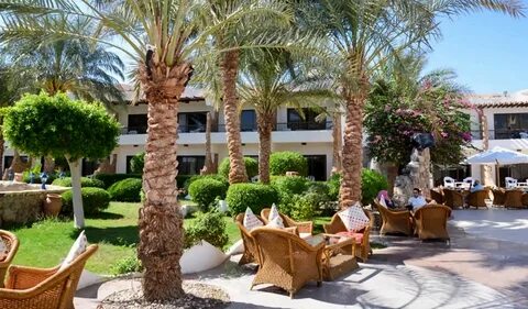 Turquoise beach hotel отзывы