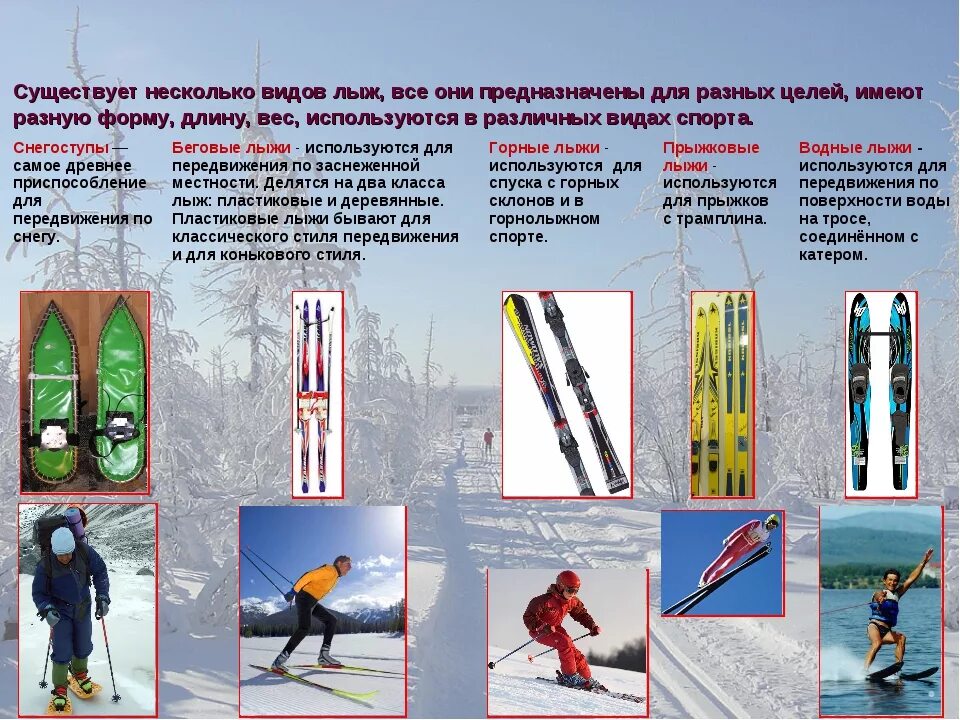 Лыжи спорт название. Виды лыж. лыжи и их названия. какие виды лыж бывают. назовите разновидности лыж.