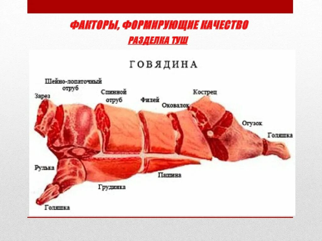 Названия разделки свинины. Говядина части туши оковалок. Оковалок это какая часть говядины. Схема разруба говядины. Разделка говядины схема.