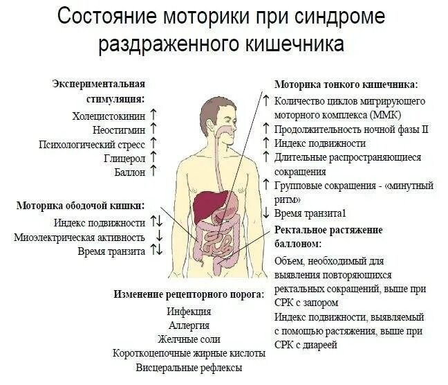 Кал при синдроме раздраженного. Синдром раздраженной кишки симптомы. раздражение кишечника симптомы. синдром раздраженного кишечника проявления. внекишечные симптомы синдрома раздраженного кишечника.