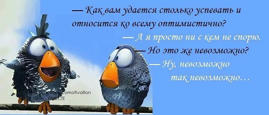 Ни идей ни