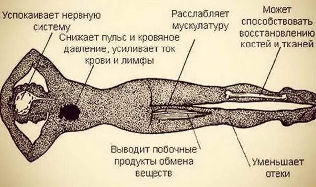Картинки ВЛИЯНИЕ МАССАЖА НА НЕРВНУЮ СИСТЕМУ