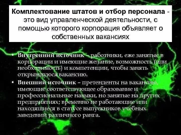 Формирование штата и его комплектование. Укомплектование штата сотрудников. План мероприятий по укомплектованию штата. Мероприятия по укомплектованию персоналом. Комплектования персоналом