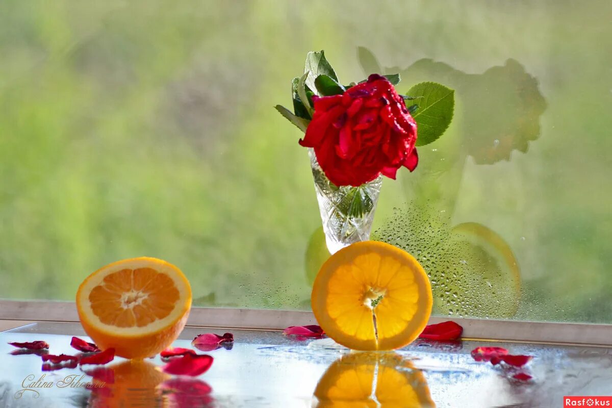 Печальный осенний натюрморт. Натюрморт выражающий то или иное настроение. Новогодний натюрморт с мандаринами. Натюрморт в праздничном настроении. Натюрморт выражающий праздничное настроение.