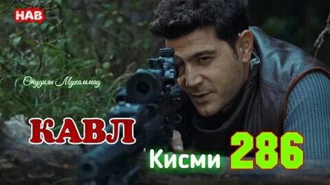 Кисми 12