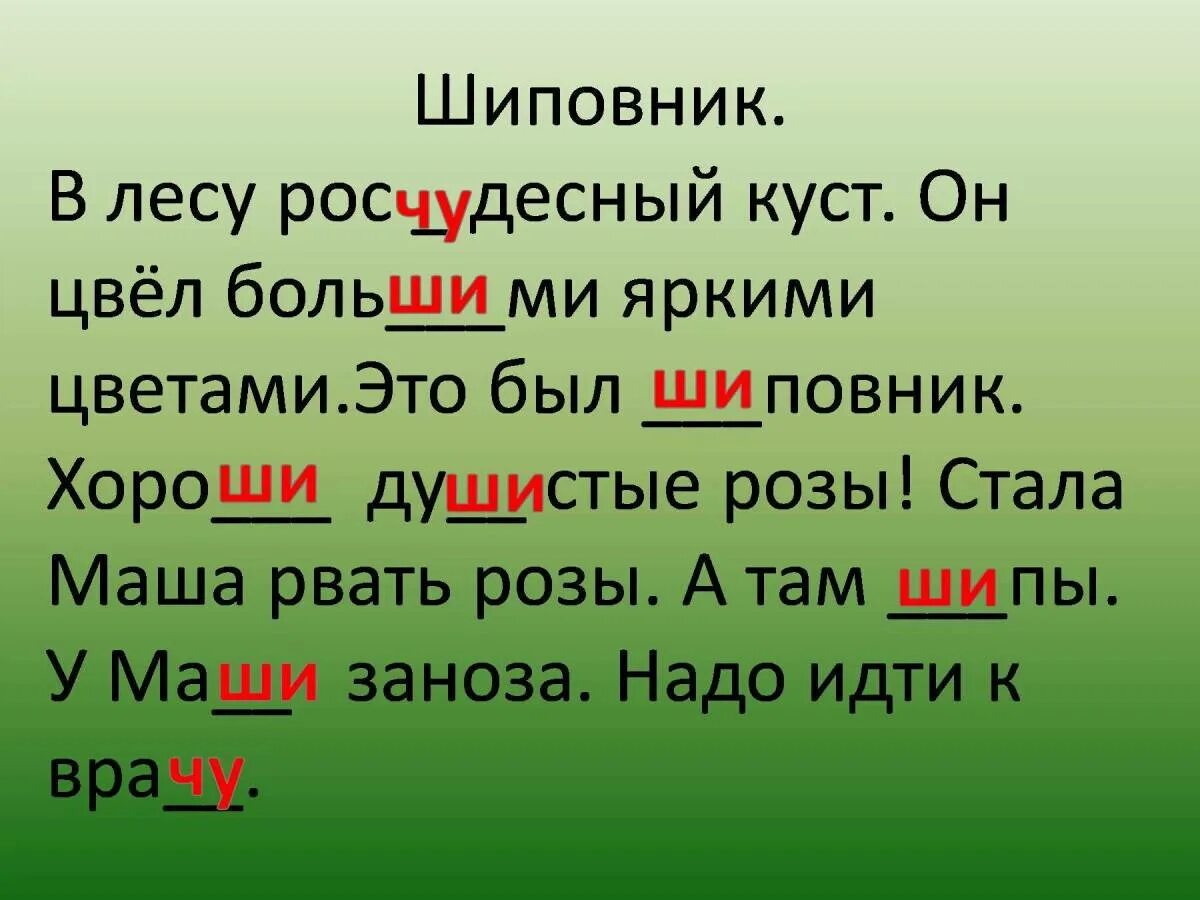 Диктант жи ши ча ща чу