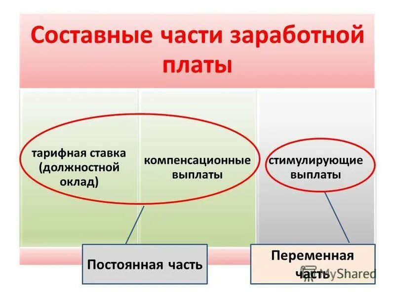 руководитель отдела оплаты труда