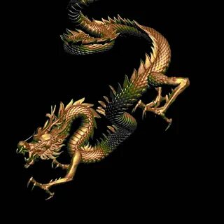 Dragon 11