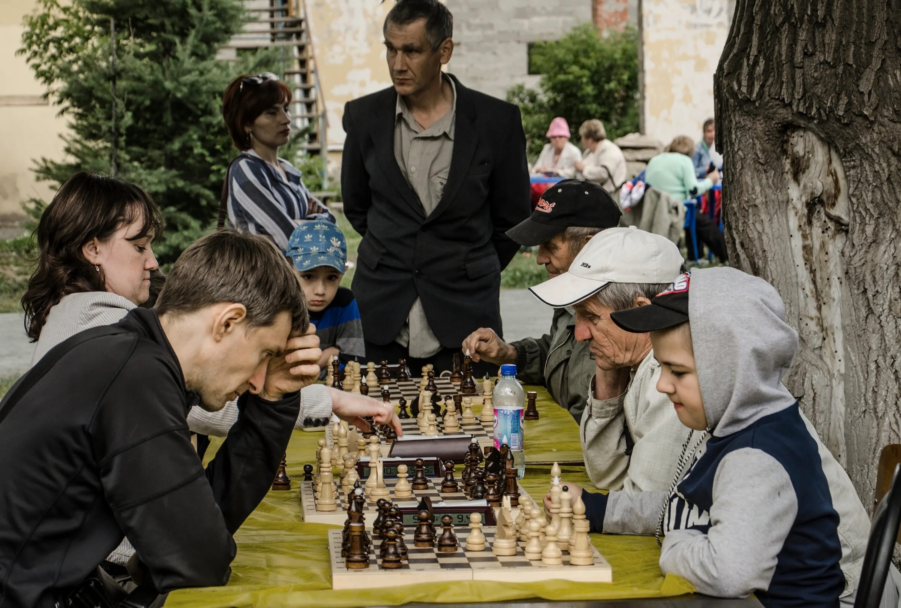 Аюп Шарипович шахматы. Чемпионы играют в шахматы