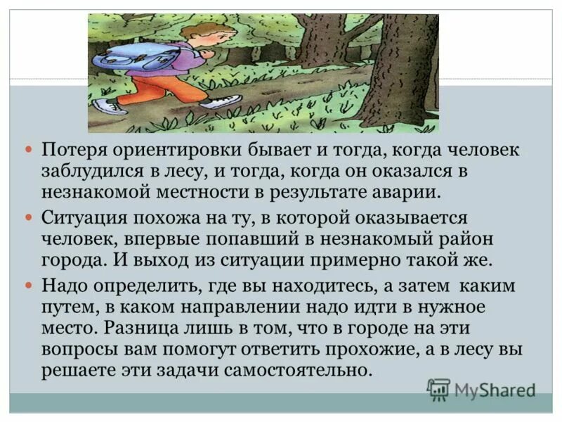 Потеря ориентировки на местности. Ситуации в лесу. Потеря ориентировки в лесу. Как ориентироваться в лесу если заблудился.