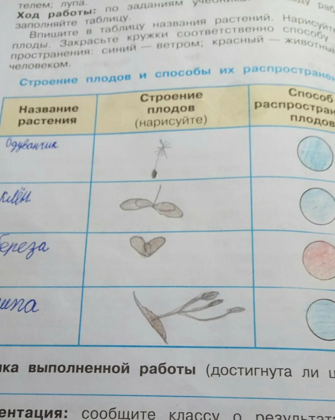 Размножение и развитие растений рабочий лист. Размножение и развитие растений рабочая тетрадь. таблица размножения растений 3 класс окружающий мир. размножение и развитие растений 3 класс окружающий. размножение и развитие растений окружающий мир рабочая тетрадь.