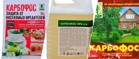 Карбофос от тараканов отзывы