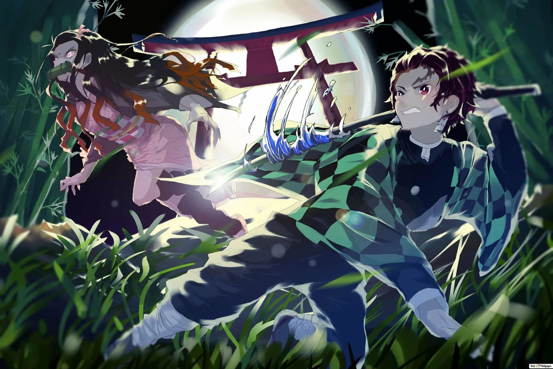 Demon slayer kimetsu no yaiba nezuko. Клинок рассекающий демонов танджиро демон. демон slayer kimetsu незуко. demon slayer kimetsu no yaiba. демон slayer kimetsu.