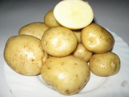 Характеристики сорта адретта