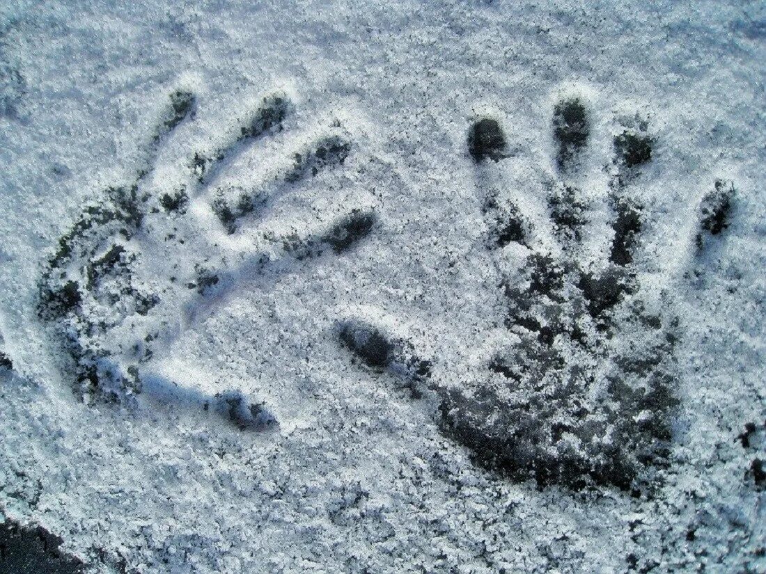 Отпечаток на снегу. Отпечаток ладони на снегу. Снег в руках. Следы медведя на снегу.