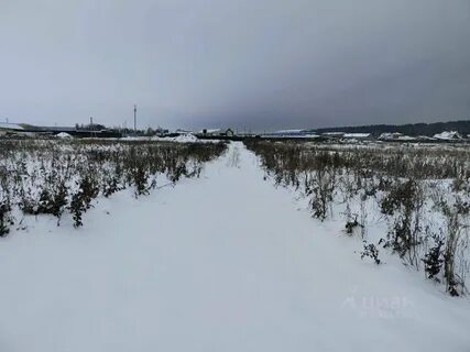 П полевой