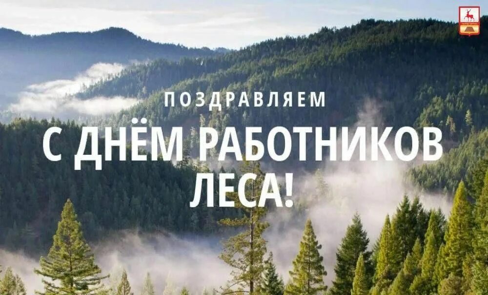 День лесника"-встреча с лесником 2023, Мамадышский район - дата и место проведен
