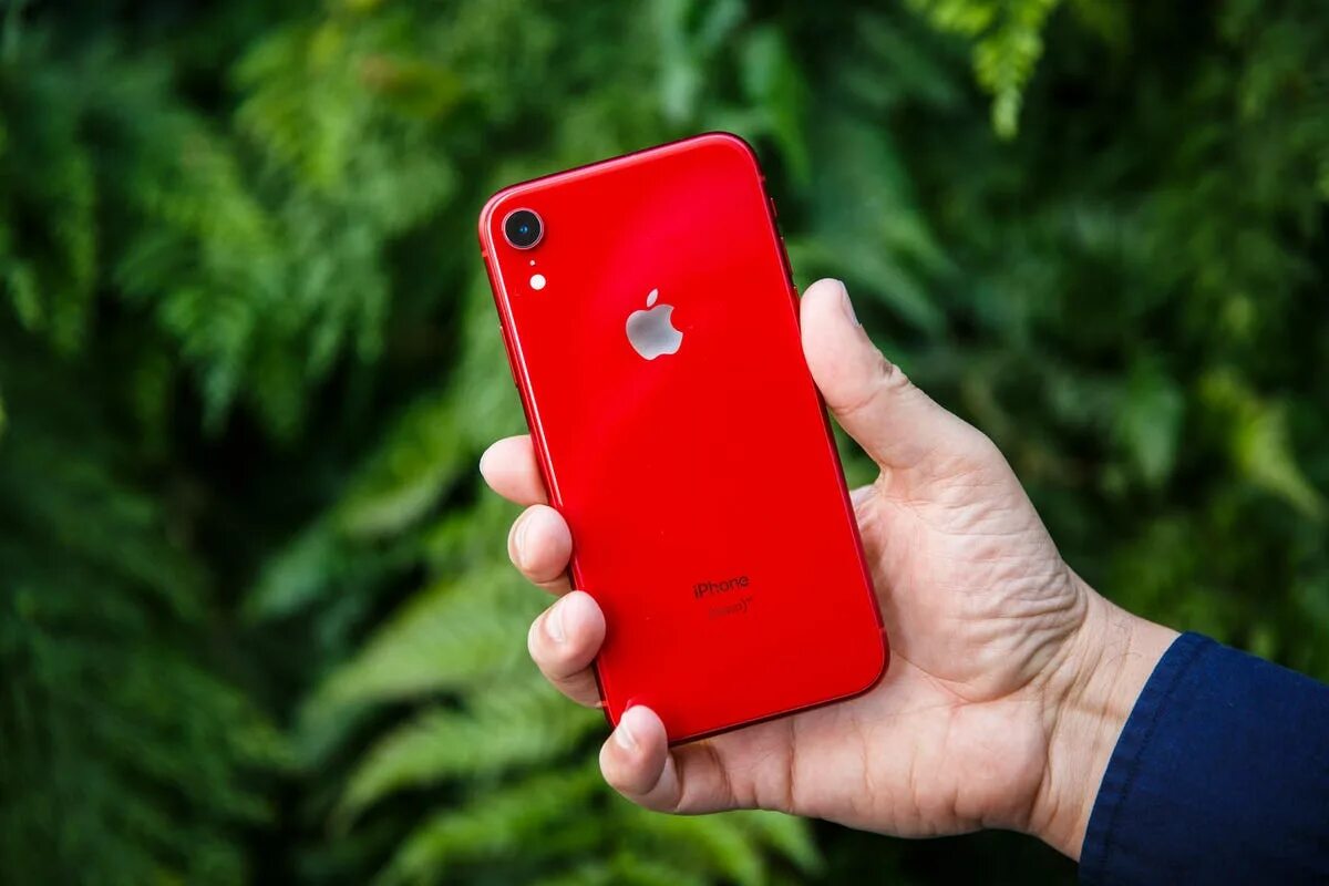 Айфон 10 красный. Iphone xr red. iphone xr product red. apple iphone xr красный. iphone xr 2022 red.