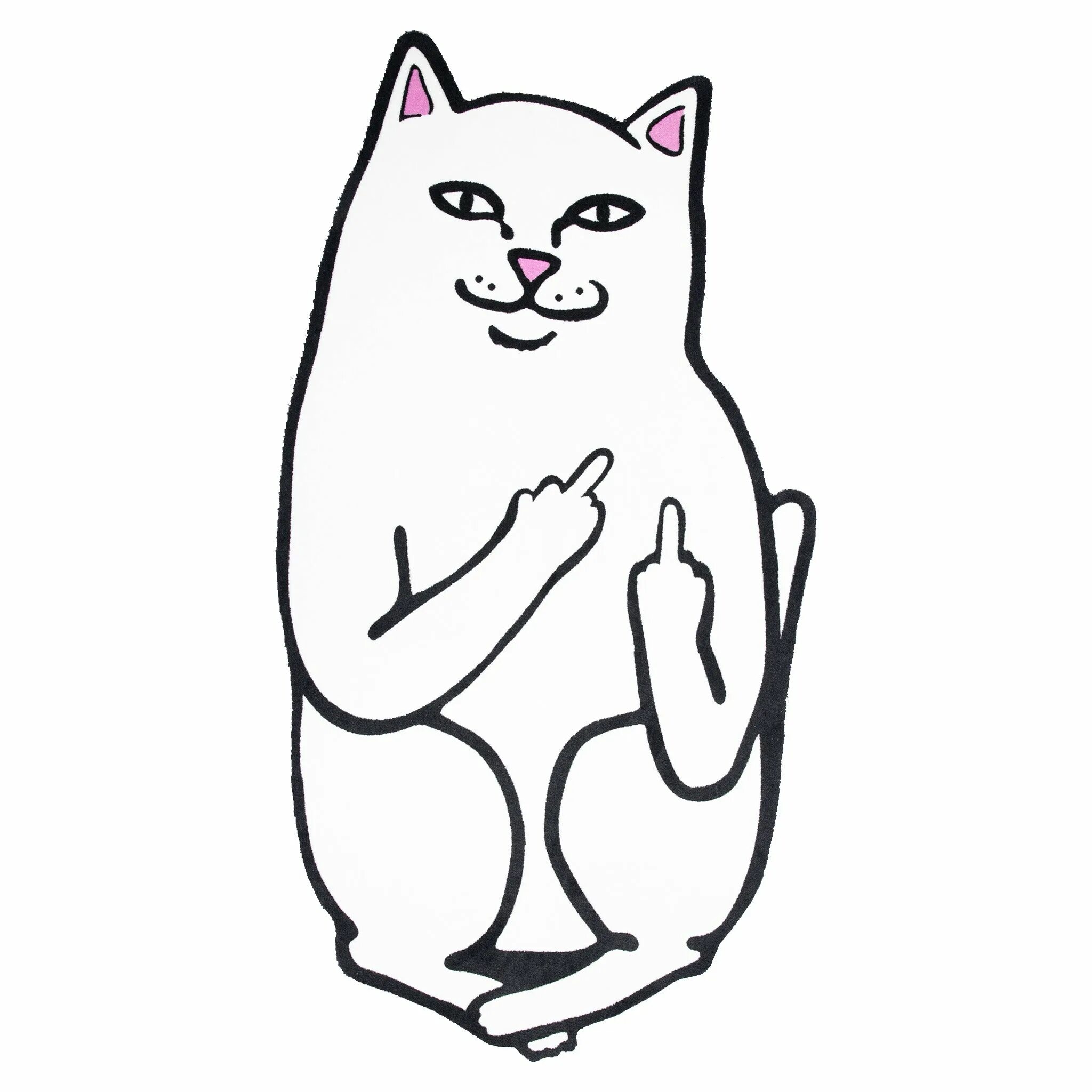 Кот показывает фак. Кот показывает факью картинки. Кот lord nermal. Кот со средним пальцем. Котик показывает палец.