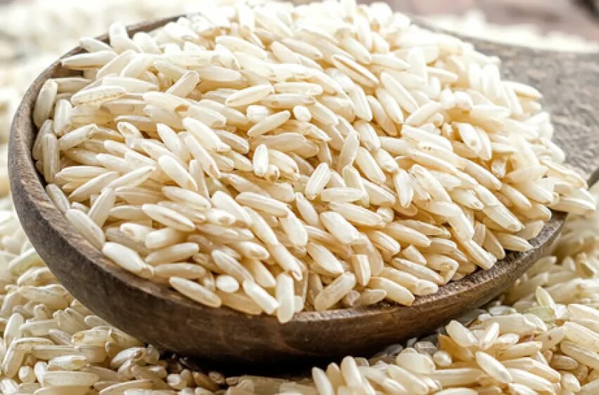 Рисовый протеин. Тарелка рис от партии. Две порции риса от партии. Купить воздушный рис с солью riso Vital в Кишиневе.