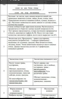 Соч по естествознанию 6 класс