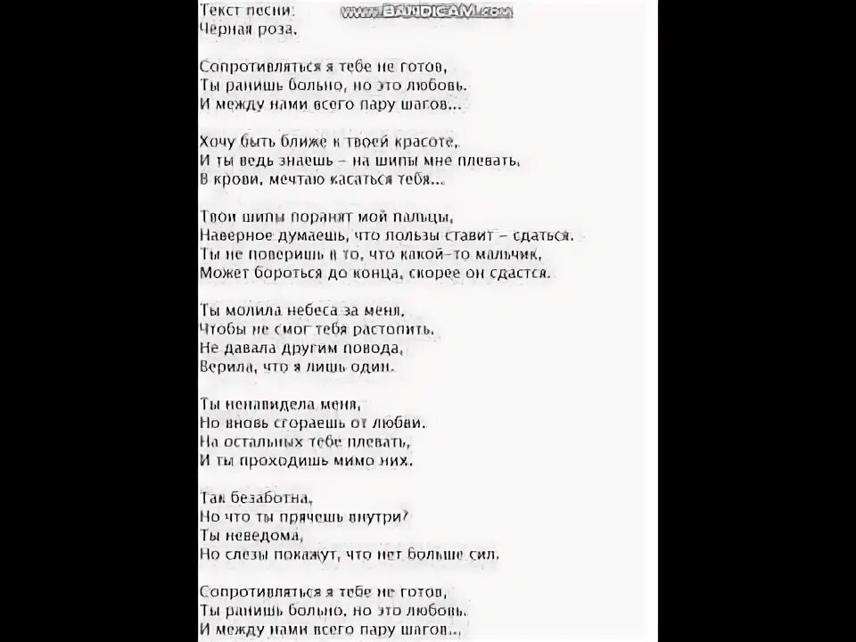 Синие розы текст песни