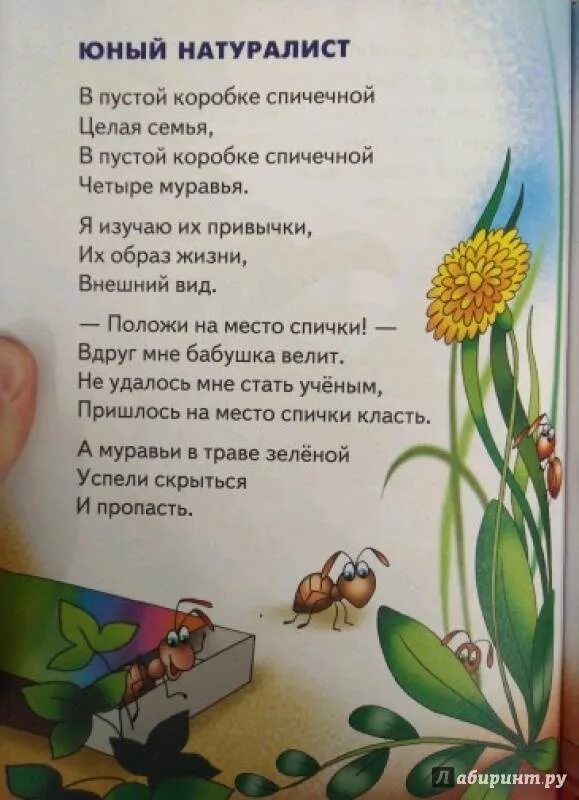 А барто юный натуралист