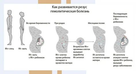Что такое антитела при беременности