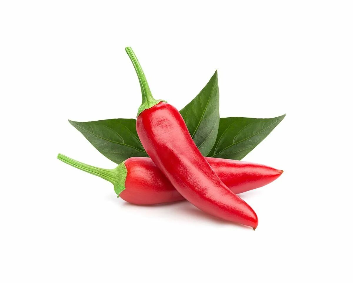 Chilli pepper. Перец красный острый стручковый. Перец Чили красный. Перец Чили 1 шт. ДСК перец Чили 100г.