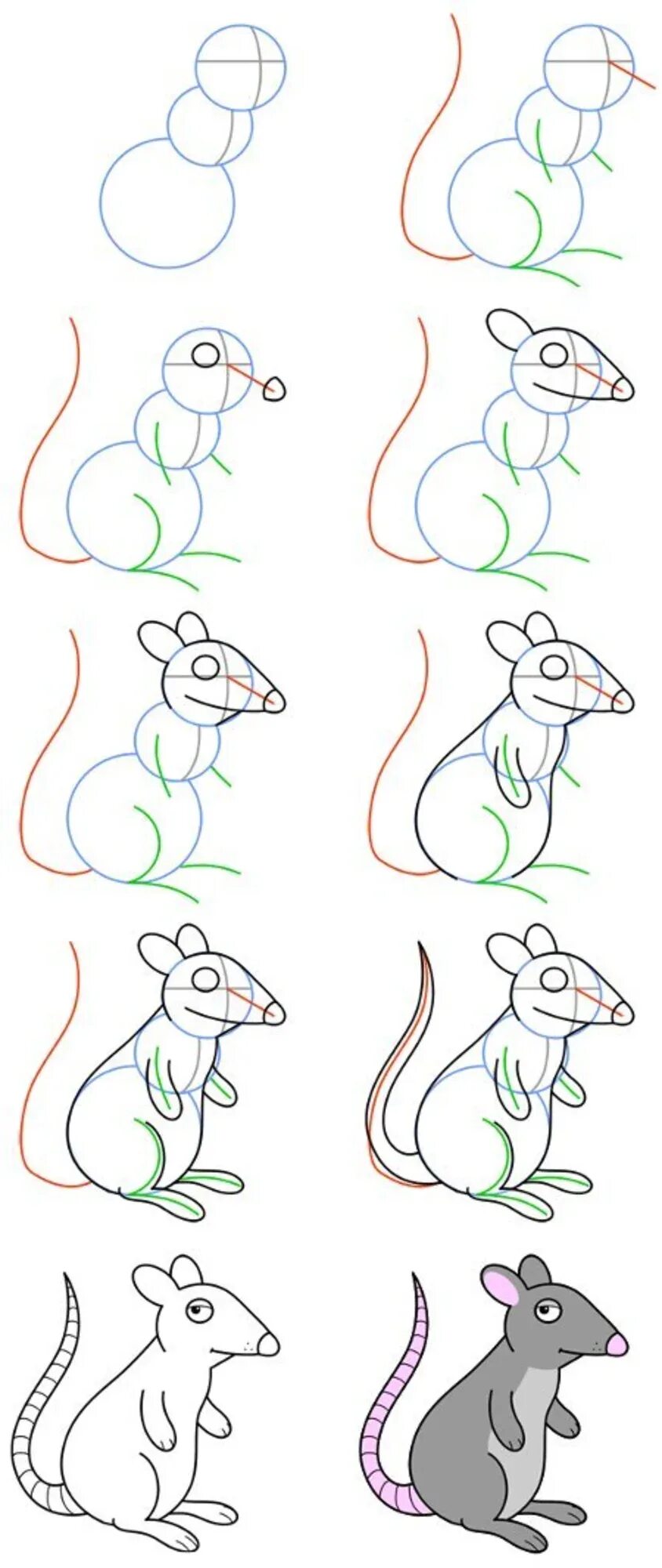 Поэтапное рисование крысы. Рисования мышки пошагово. Поэтапное рисование мышь для детей. Крыса рисунок поэтапно. Как легко нарисовать мышку