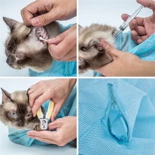 Как ухаживать за котенком